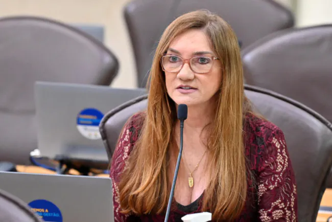 Terezinha Maia enfrenta dificuldades e deve ser deputada de apenas um mandato