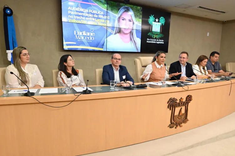 Deputada Eudiane cobra pavimentação da RN-093 em audiência na Assembleia