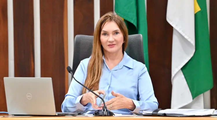 Projeto de Terezinha Maia que incentiva energia solar para pequenos produtores avança na Assembleia Legislativa