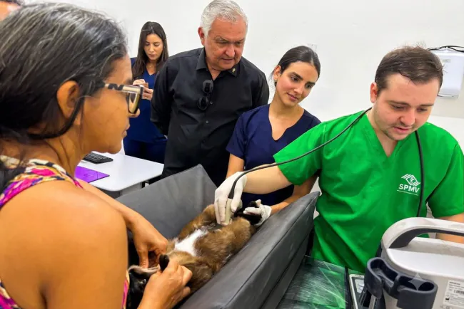 Girão destina R$ 5 milhões para hospital pet