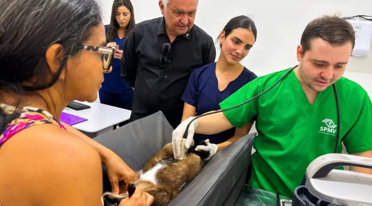 Girão destina R$ 5 milhões para hospital pet