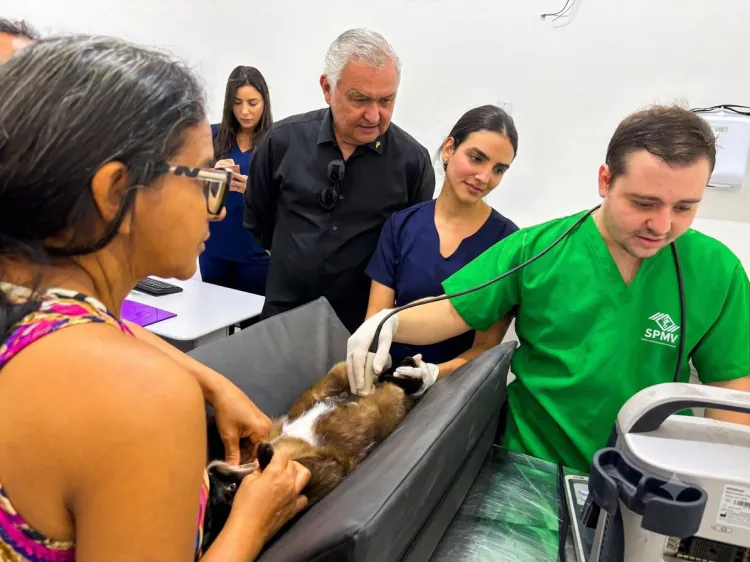 Girão destina R$ 5 milhões para hospital pet